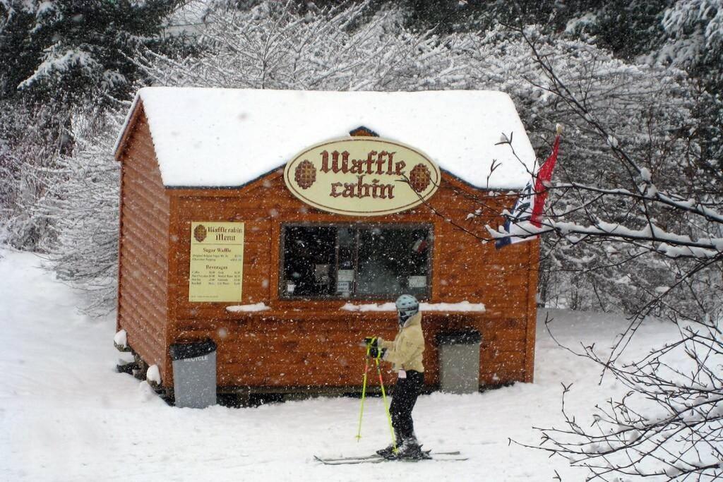 Skiing, Hiking, Village Of Eville Mtn Escape Ellicottville Exterior photo